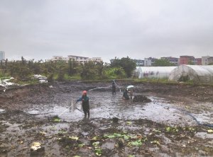 宁阳河道鱼塘清淤